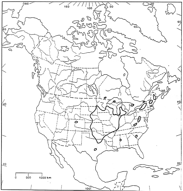 Répartition mondiale de l’Aristida basiramea (d’après COSEPAC, 2002).