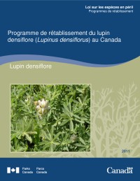 Programme de rétablissement du lupin densiflore (Lupinus densiflorus) au Canada