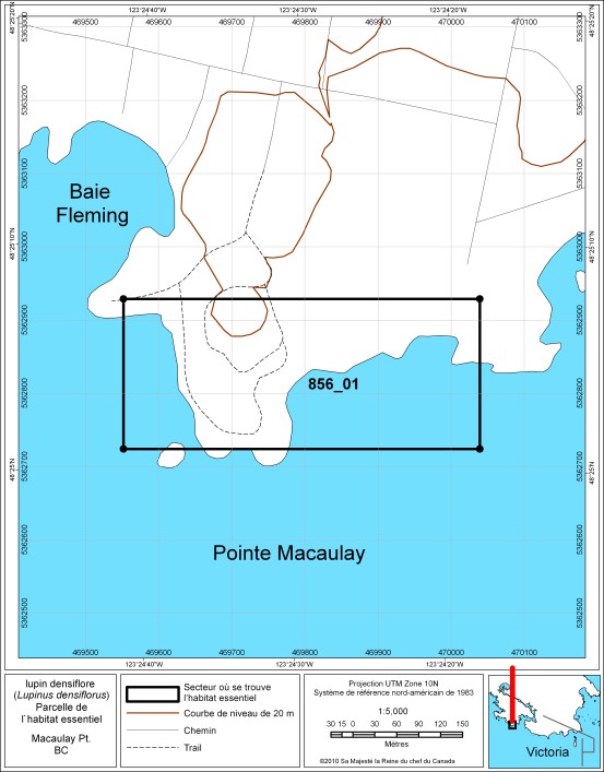 Carte montrant le secteur où se trouve l’habitat essentiel du lupin densiflore