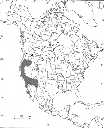Approximate distribution of the silver hair moss in North America: southern British Columbia, Washington, Idaho, Oregon, Colorado, New Mexico, Arizona, and California