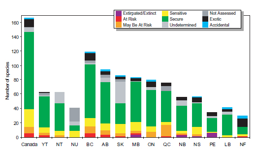 Summary of the general status of terrestrial mammals in Canada