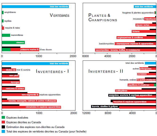 Diversité et nombre d’espèces évaluées dans Les espèces sauvages 2000