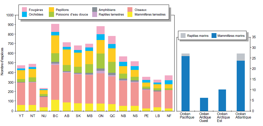 Résumé de la richesse générale en espèces